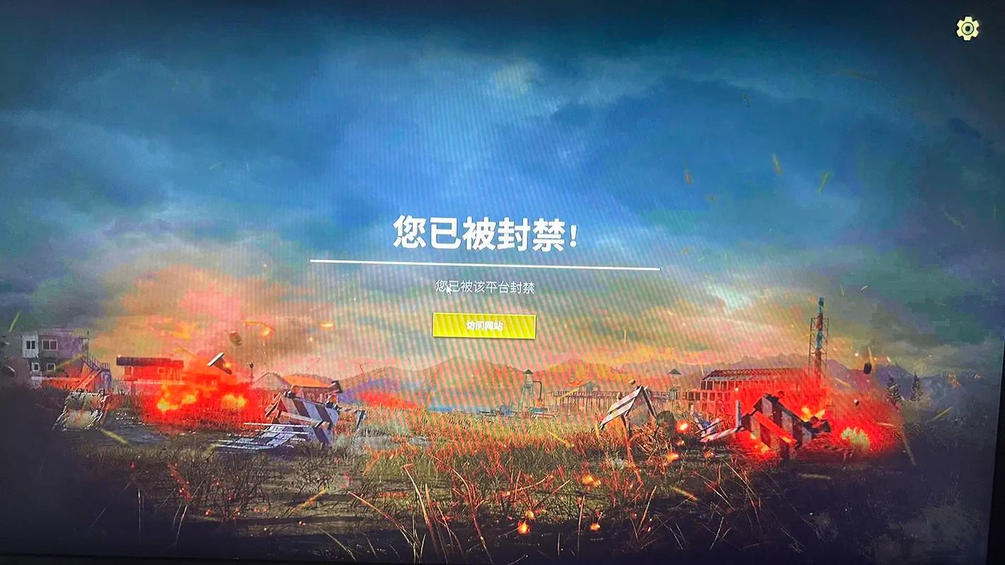 吃鸡辅助