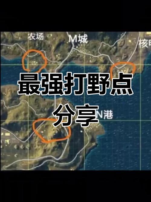 绝地求生打野